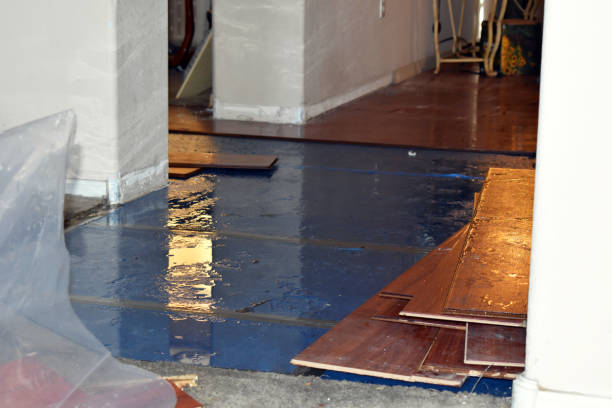 Professional Flood Damage Repair technician working in Whitehall, MI